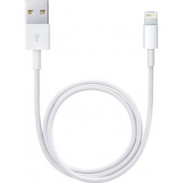 Apple Lightning to USB Cable 0.5m (ME291)