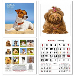 КОЛАЖ Календар перекидний  Чарівні улюбленці (Собачата) 2024, в асортименті (4820144130076)