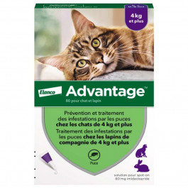 Bayer Advantage 80 для кошек и кроликов от 4 до 8 кг 1 пипетка